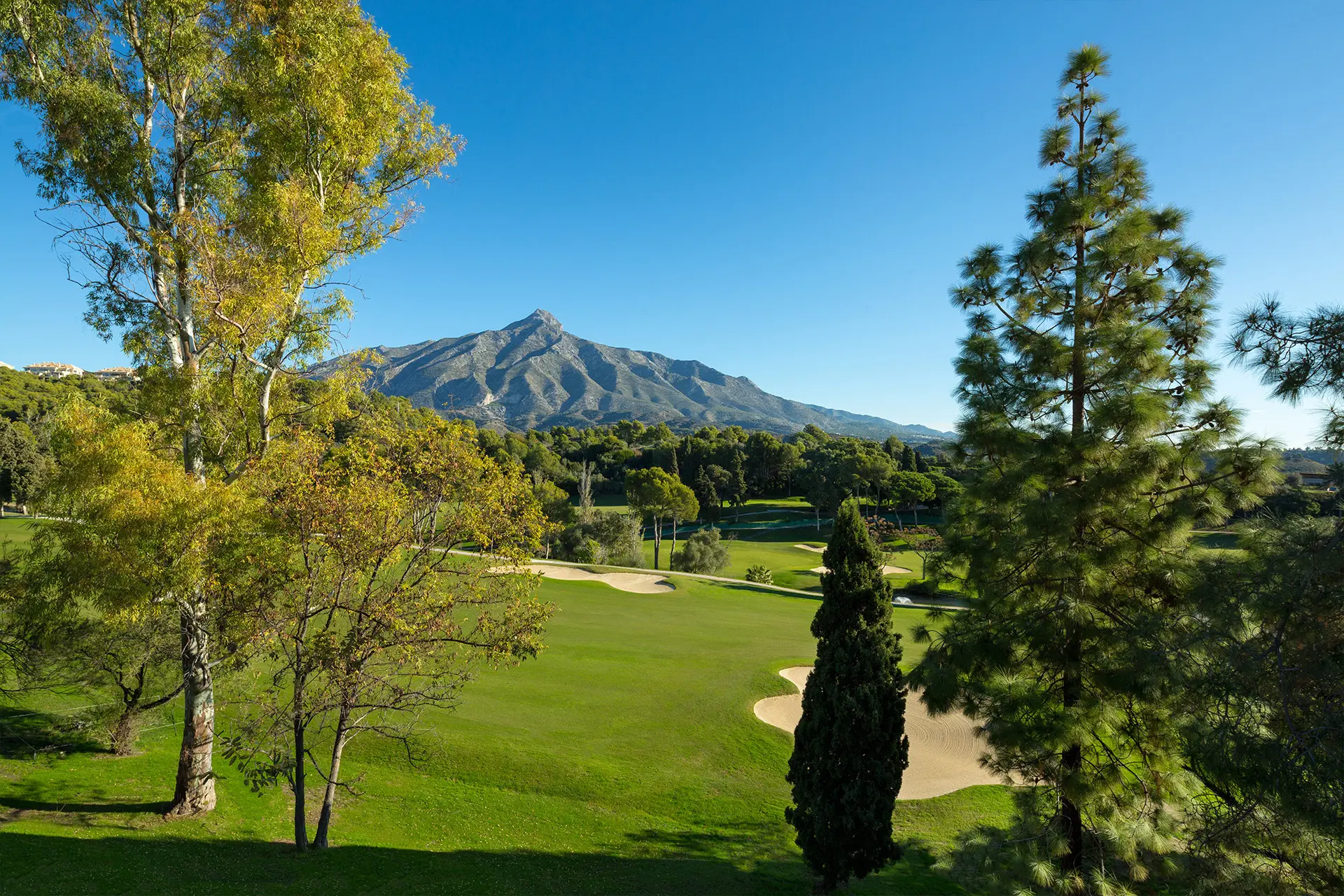 B98Le8d7M9k3DegpEFZhS0lI_F8U4XZVzHWxtmGgYekxX9nCAxh0ZjtE2u9zqepXEUrVLqfm8KeIGW6Gtyd4X89rFFK10v85qQta1drd7DwoVHmmBJsz684hxdtwlzIPocktfCFNPfmf4_NKzikEuZSEKixM8g–