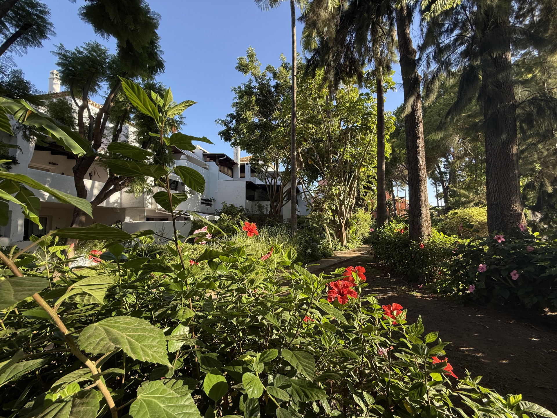 imgi_27_ Penthouse for Sale in Guadalmina Baja – Marbella