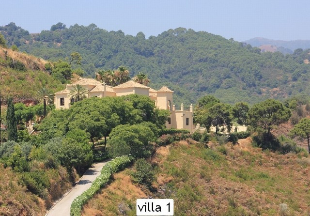 Marbella villa 17 Bedrooms
