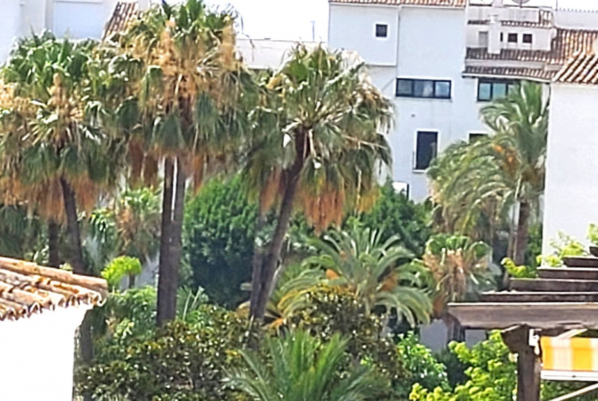 Puerto Banus Marbella penthouse 3 Bedrooms