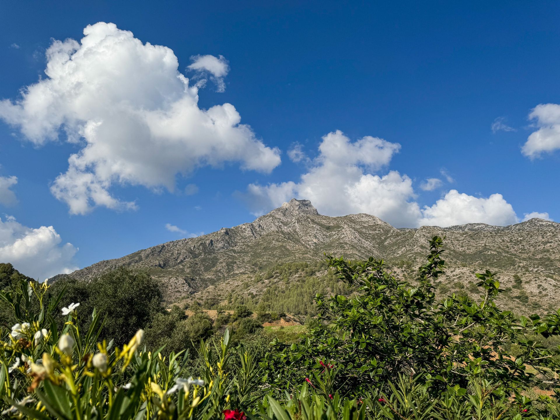 luxo-estate-11 Marbella plot Bedrooms