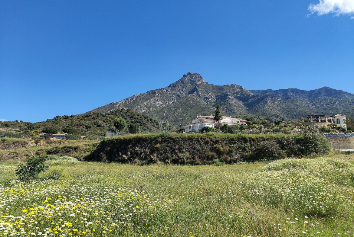 Marbella plot  Bedrooms