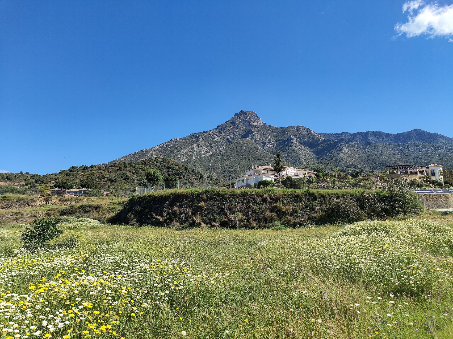 luxo-estate-11 Marbella plot Bedrooms