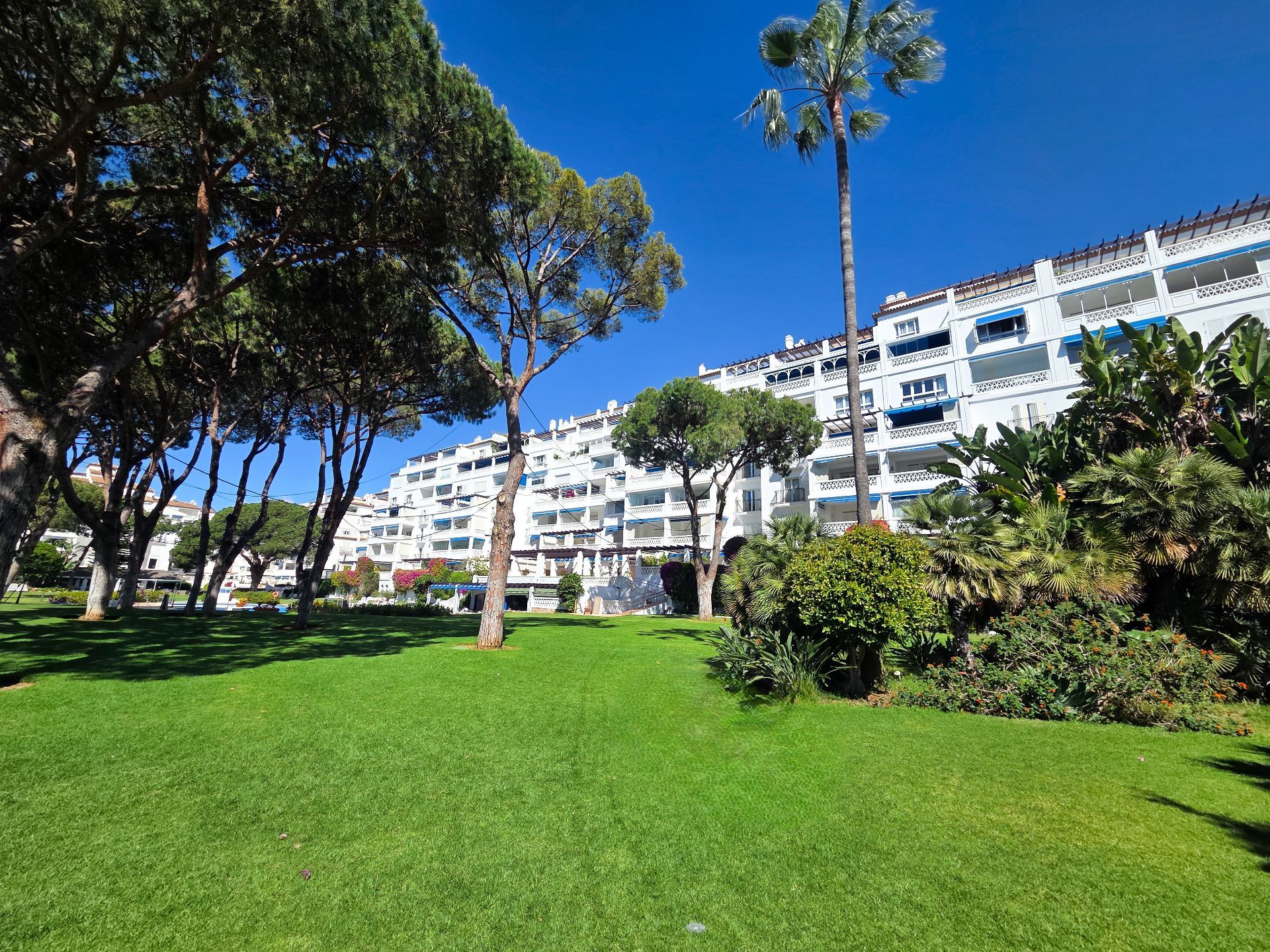 Nueva Andalucia Marbella apartment 3 Bedrooms