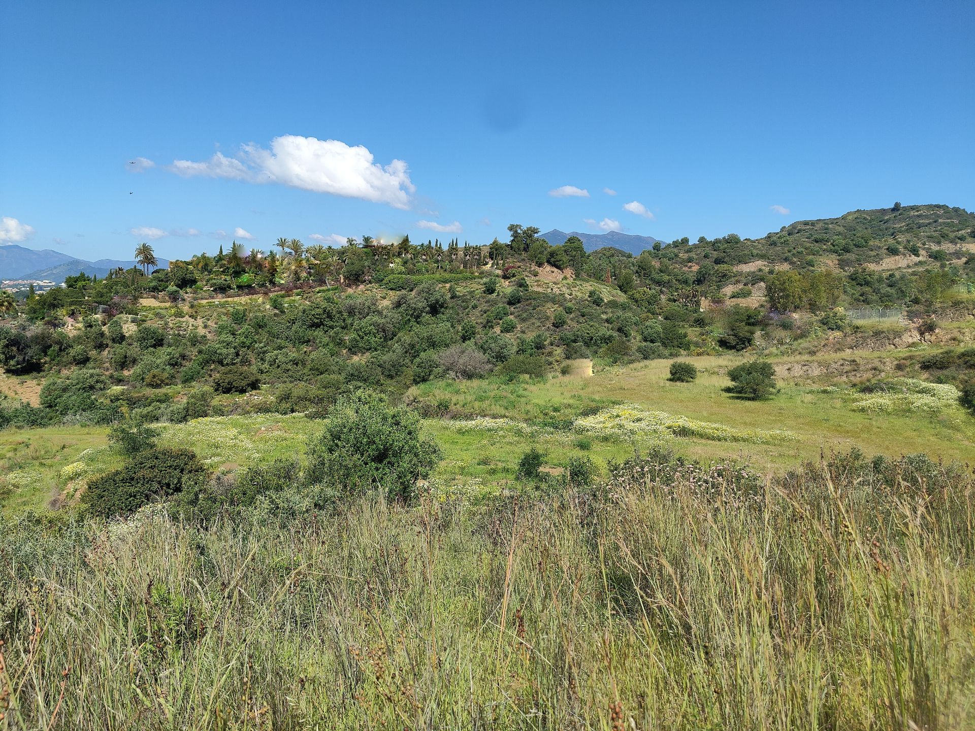 luxo-estate-12 Marbella plot Bedrooms
