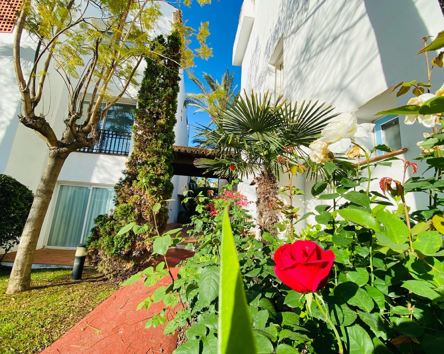 luxo-estate-18 Puerto Banus Marbella penthouse 3 Bedrooms