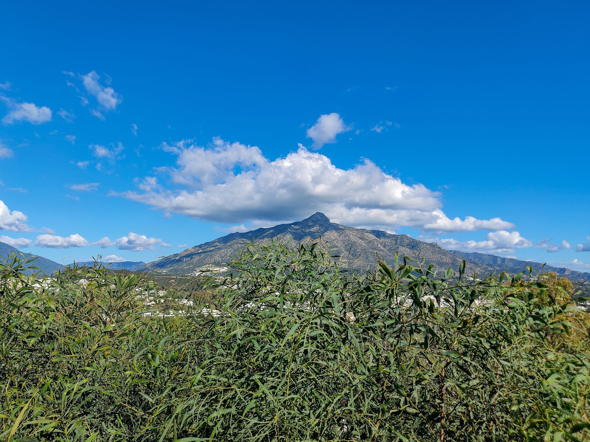 El Rosario Marbella plot  Bedrooms