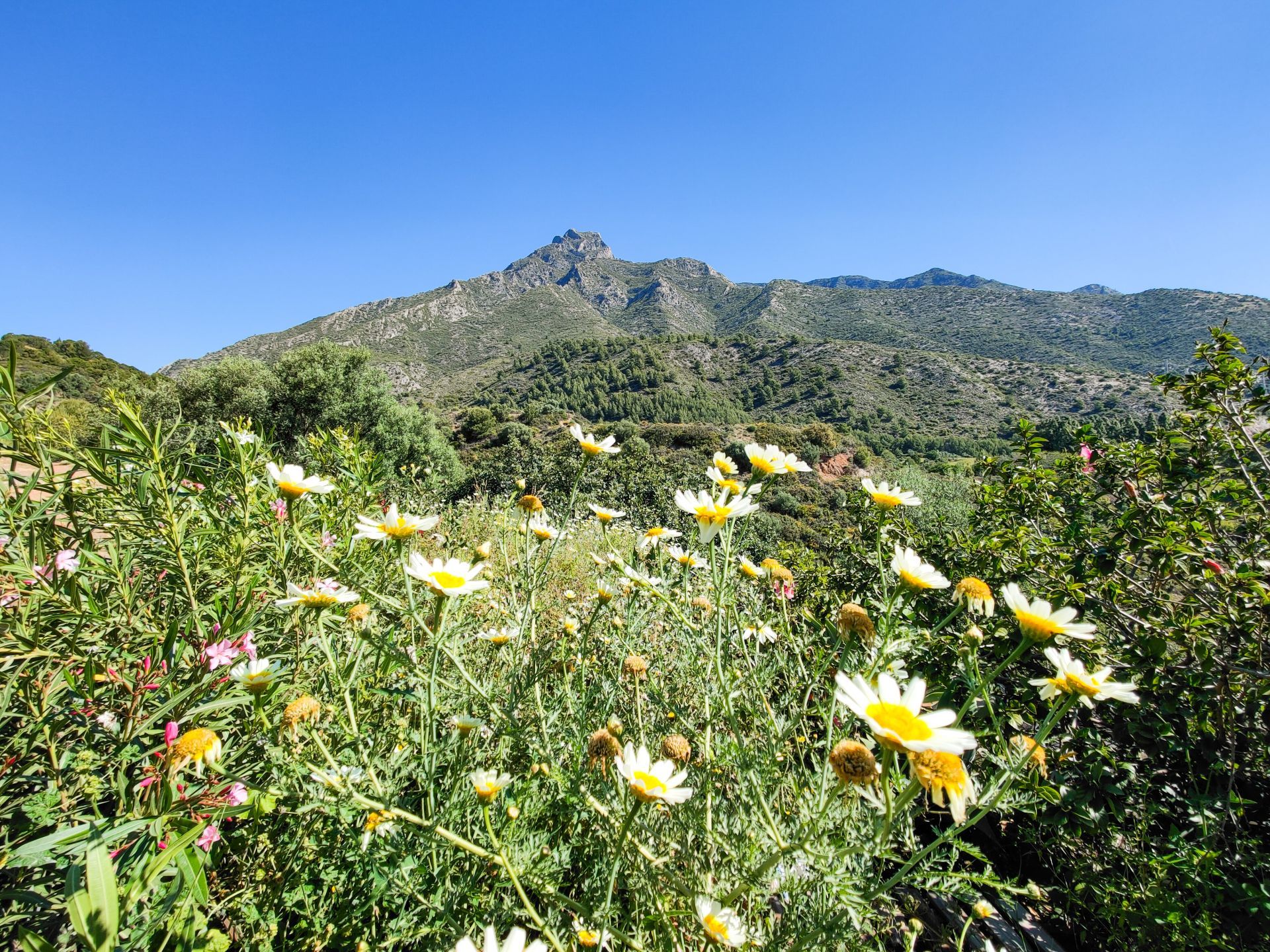 luxo-estate-20 Marbella plot Bedrooms
