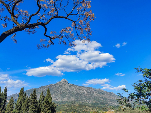 Nueva Andalucia Marbella townhouse 4 Bedrooms
