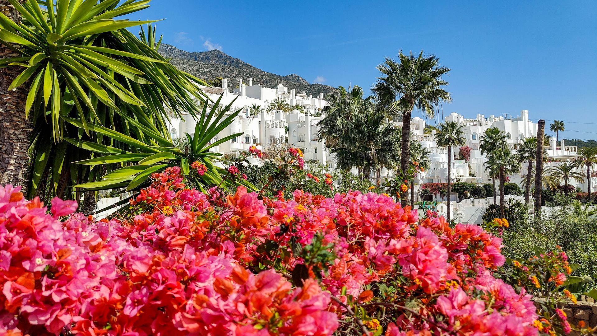 Marbella Golden Mile Marbella penthouse 3 Bedrooms
