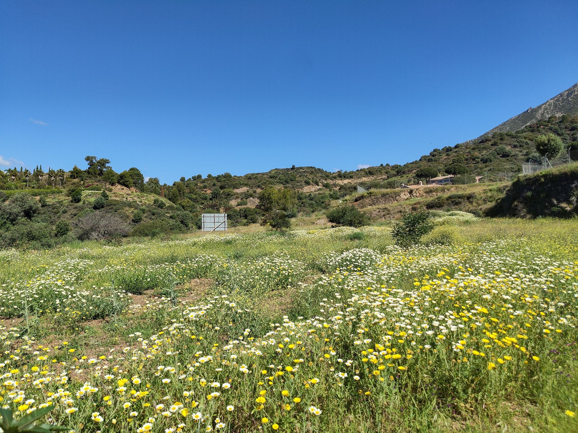 luxo-estate-4 Marbella plot Bedrooms
