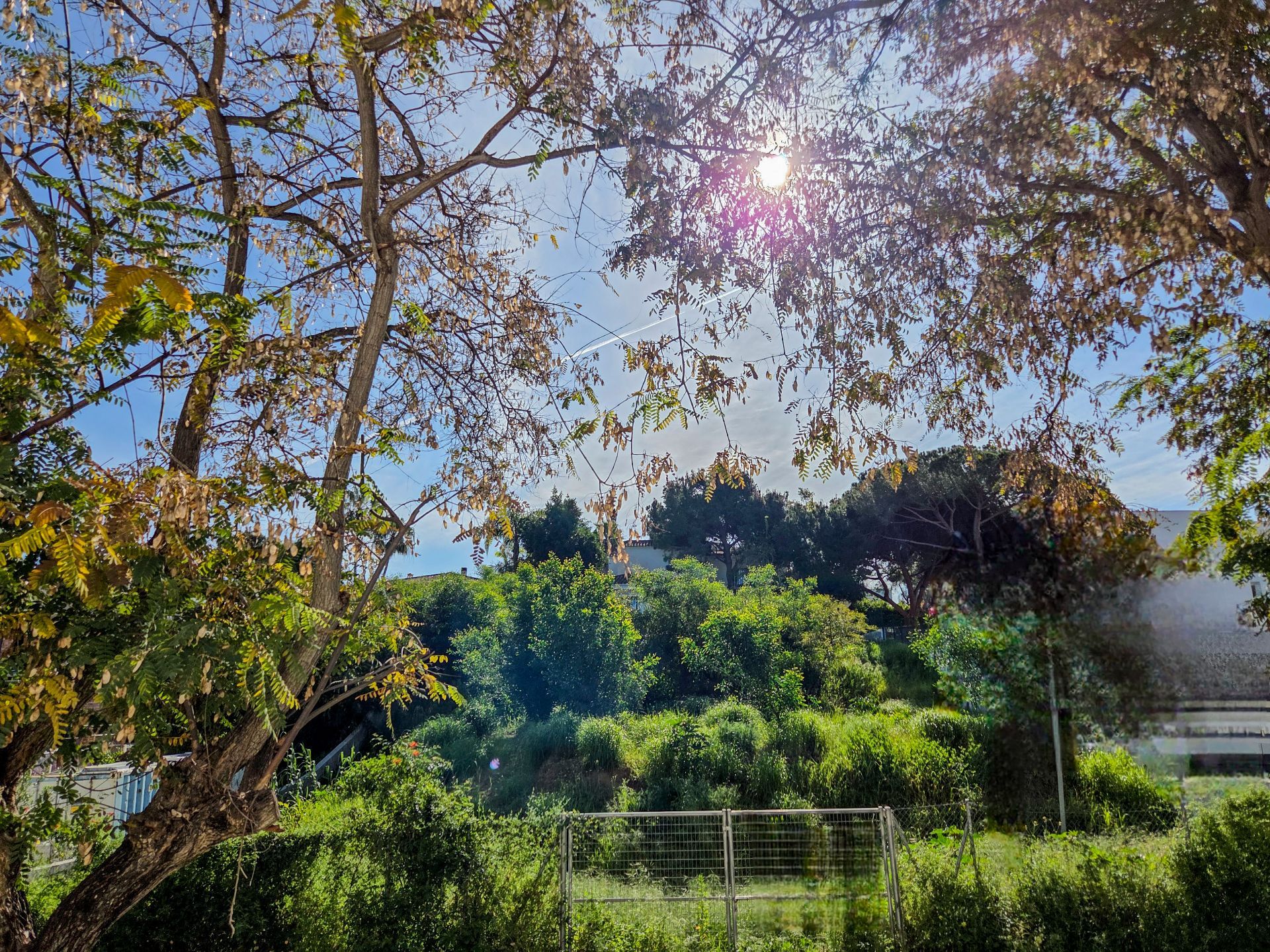 luxo-estate-5 Marbella plot Bedrooms