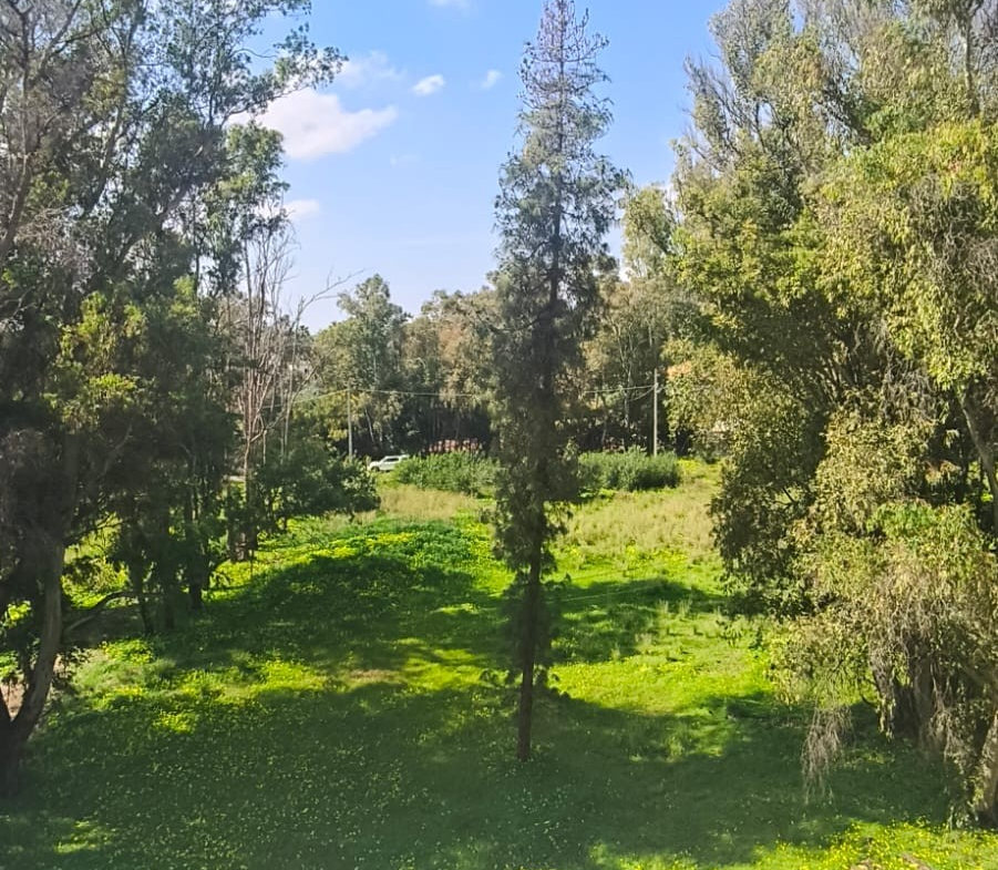 Marbella apartment 2 Bedrooms