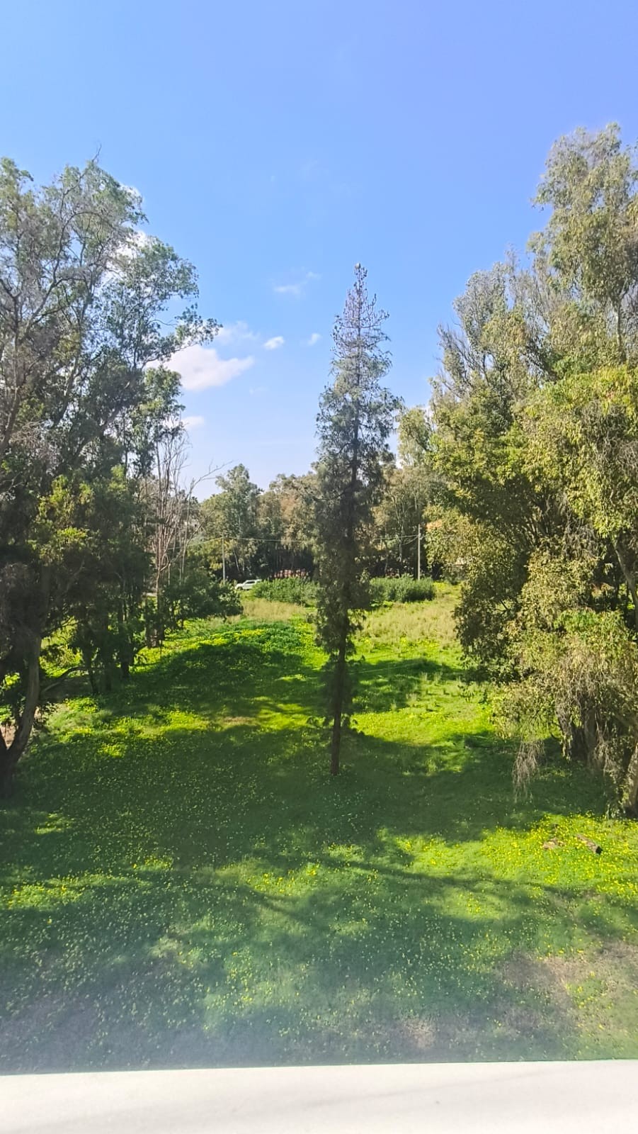 Marbella apartment 2 Bedrooms