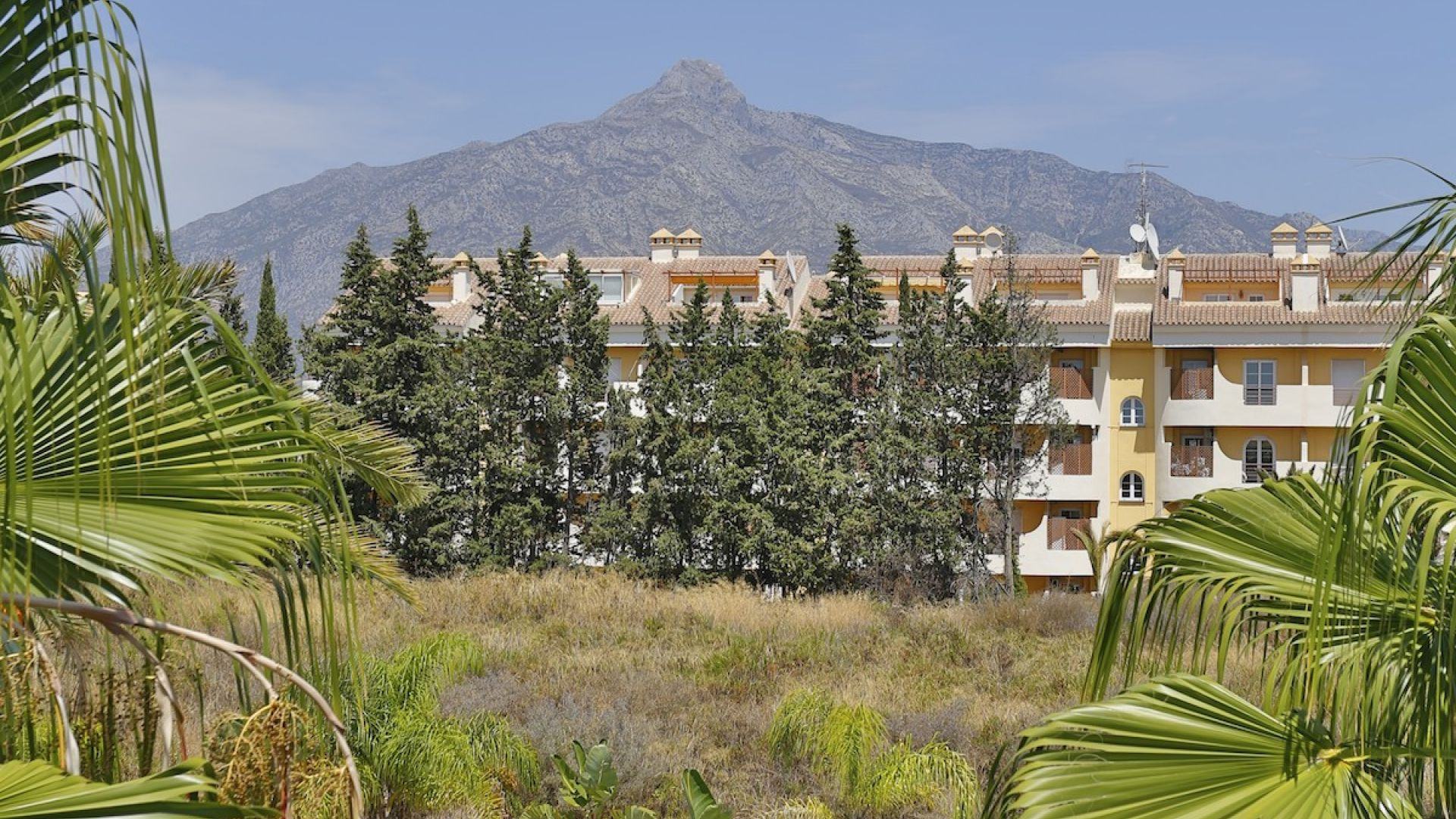 Nueva Andalucia Marbella penthouse 2 Bedrooms